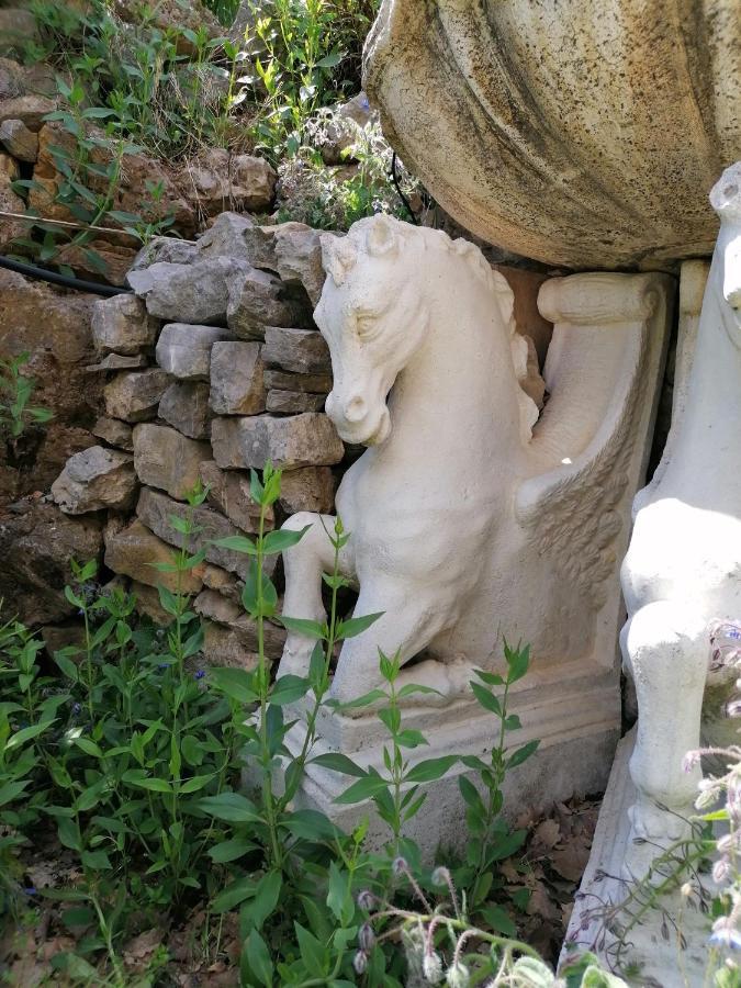 Entre Ciel Et Terre Villa Besse-sur-Issole Dış mekan fotoğraf